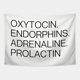 oxytocin endorphins adrenaline prolactin - Hormones of pregnancy and labour Tapestry