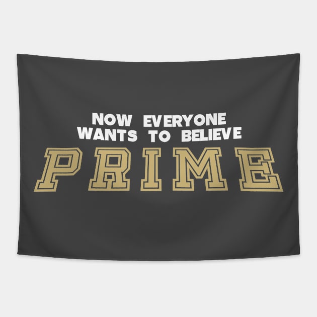 Believe in Prime Tapestry by NFLapparel