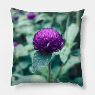 Nature Flowers Pillow