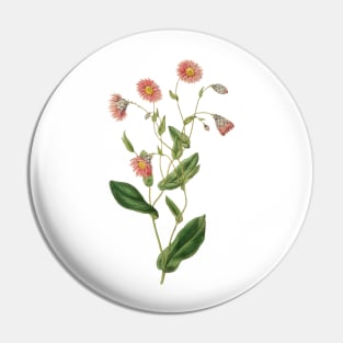 Delicate pink botanical Pin