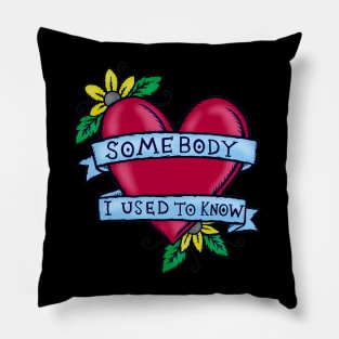 Somebody That I Used to Know – Illustrated Lyrics Pillow