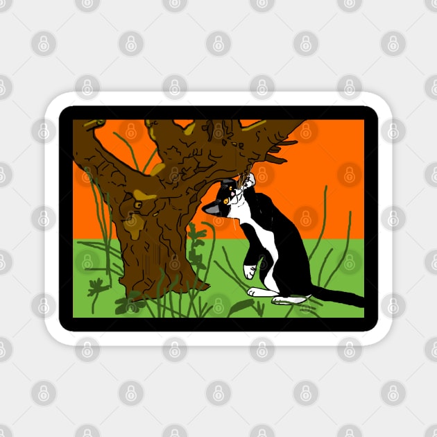 Cute Tuxedo Cat playing in the garden  Copyright TeAnne Magnet by TeAnne