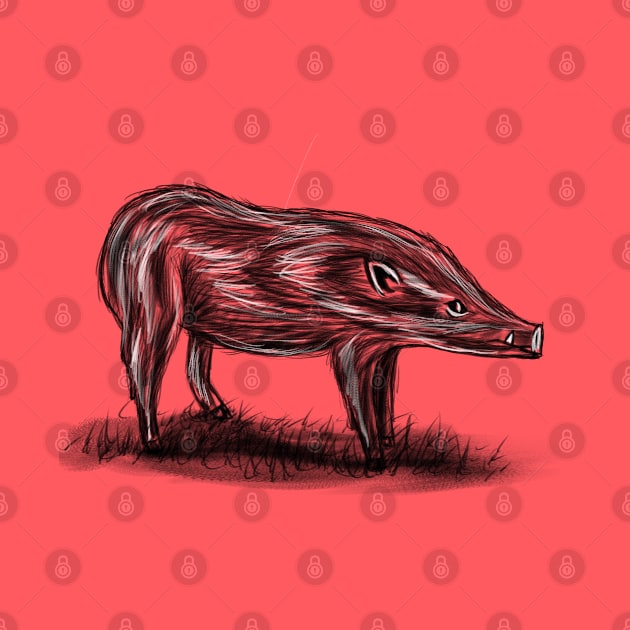 Pygmy Hog by Aniket Patel