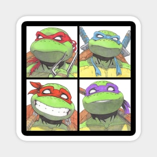 Four Turtle Brothers Magnet