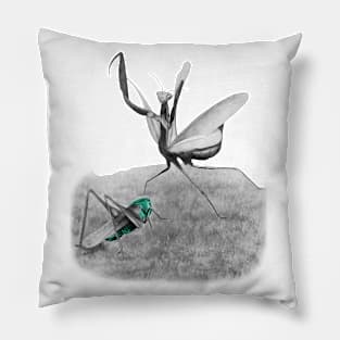 Mantis and Cricket Pillow