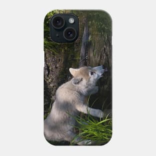 Arctic Wolf Pup Drinking Phone Case