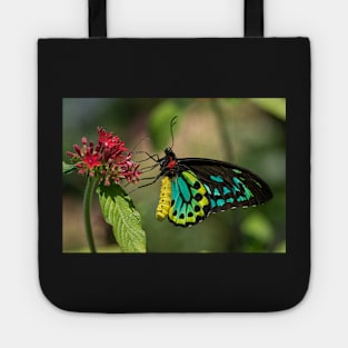 Cairns Birdwing Butterfly - stunning! Tote