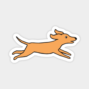 Run Dog Run Magnet