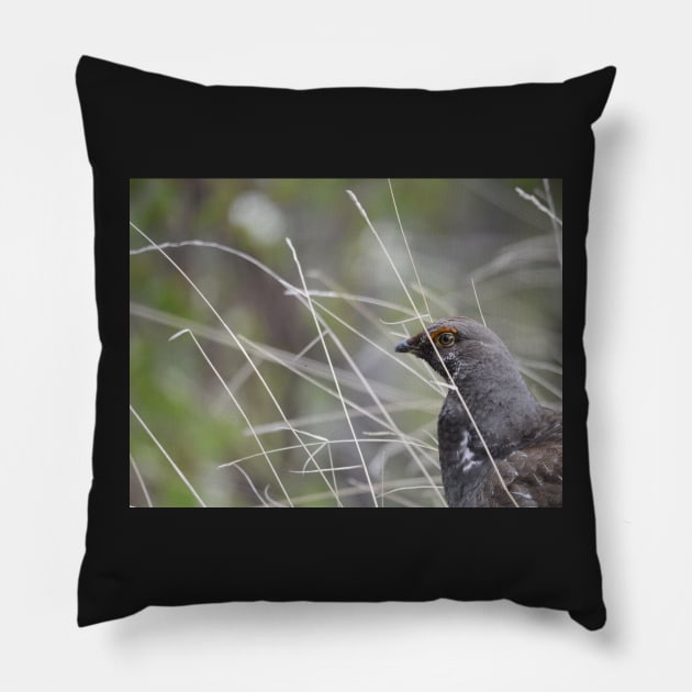 Dusky Grouse Pillow by Whisperingpeaks