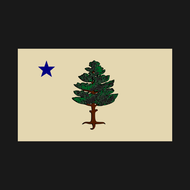 Maine Flag 1901 by The Sarah Gibs