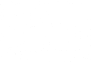 Z.W.O. ZIGRA WORLD ORDER Magnet