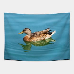 Duck Swimming In The Water. Tapestry