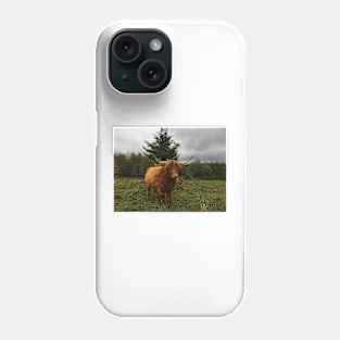 Scottish Highland Cattle Cow 2127 Phone Case