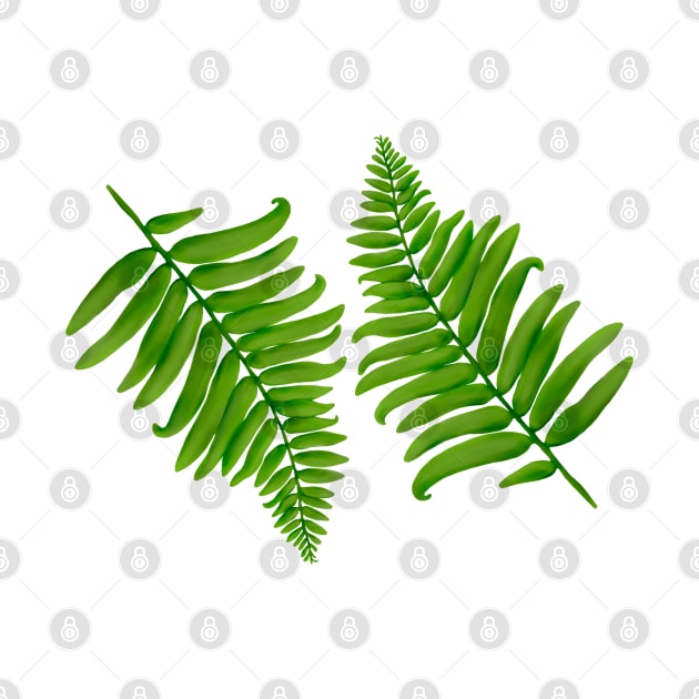 Fern Graphic by Kraina