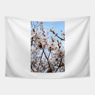 Blossom tree Tapestry