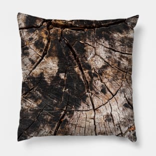 Chopped Tree Trunk Inner Rings Pillow