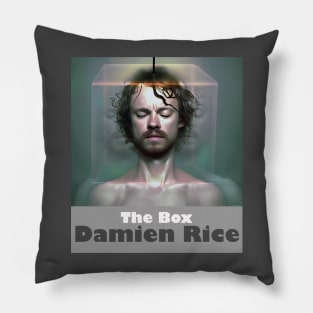 Damien Rice The Box Pillow