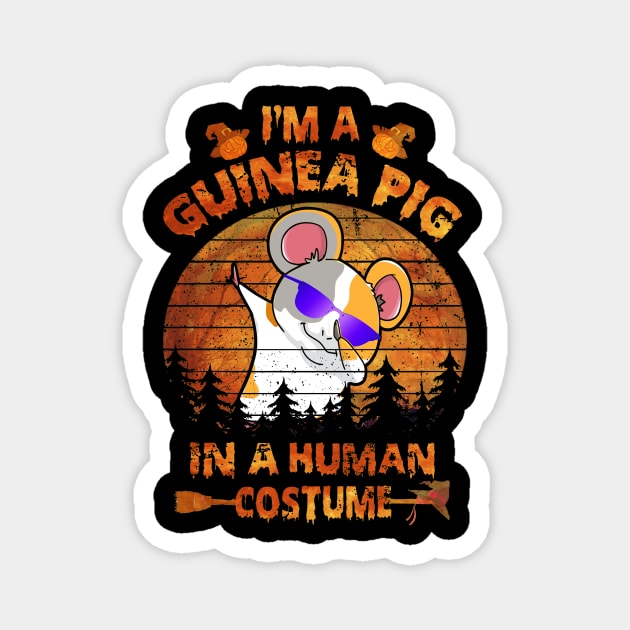 Guinea Pig Halloween Costumes (38) Magnet by Ravens