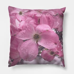 Pink Flowers in Spring Pillow