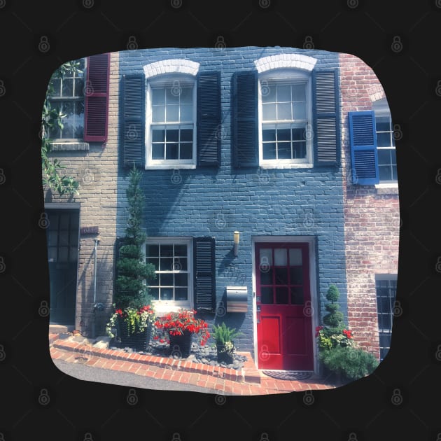 Georgetown building blue walls red door Photo Washington DC USA city dc statehood by BoogieCreates