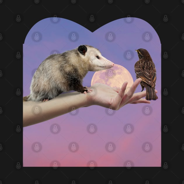 The opossum love by ManifestYDream