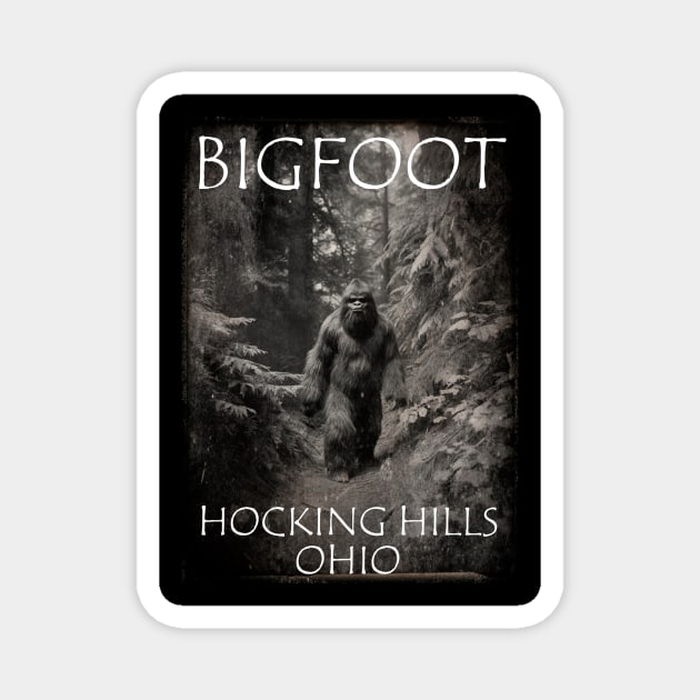 Bigfoot Hocking Hills Ohio Magnet by BarrySullivan