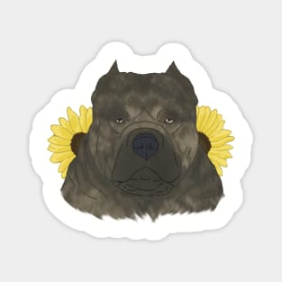 Brindle American Bully with Sunflowers Magnet
