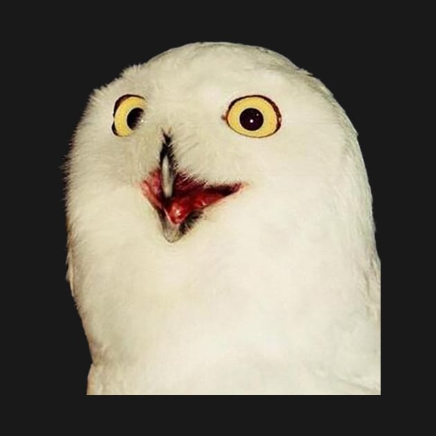 O RLY? Owl by FlashmanBiscuit