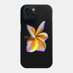 plumeria-flowers-frangipani-floral-awesome-bossom-shirtyshirto-39 Phone Case