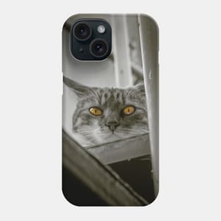 Martina the cat with terribles eyes Phone Case