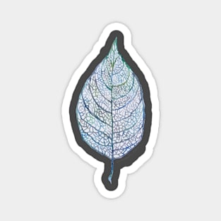 Leaf from a tree with veins, watercolor Magnet