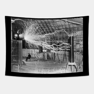 Nikola Tesla - Public Domain Tapestry
