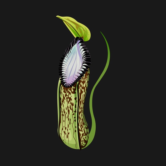 Botany Carnivorous Plant Pitcher Plant Nepenthes Hamata by Venus Fly Trap Shirts