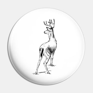 Curious Deer (black) Pin