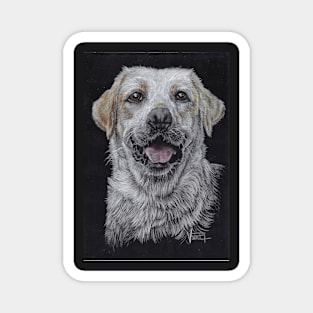 Labrador Retriever Magnet