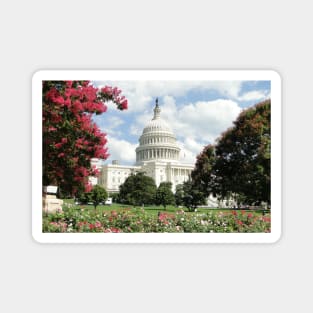 Capitol Blooms Magnet