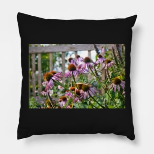 Echinacea flowers Pillow