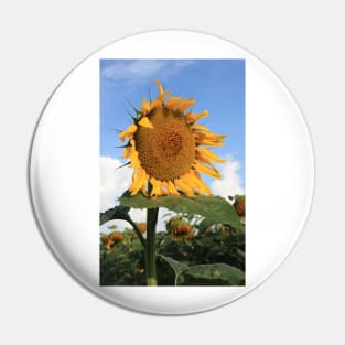 Kansas Country Sunflower Phone Case Pin