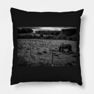 Monochrome Grazing Horse Pillow