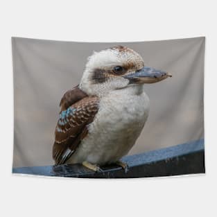 Kookaburra Australian Bird Profile Pic Tapestry