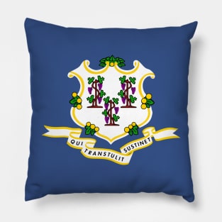 Flag of Connecticut State of the USA Pillow