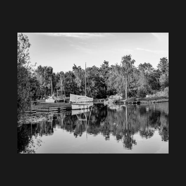 Barton Turf on the River Ant, Norfolk Broads by yackers1