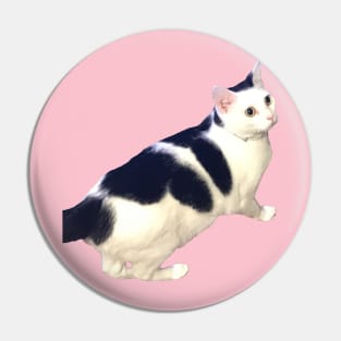 Cute Black & White Cat Pin