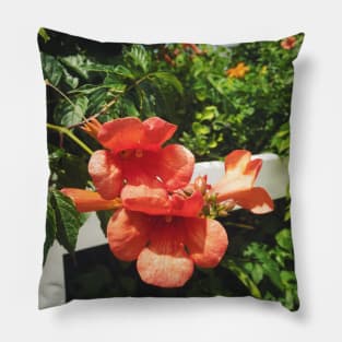 Beachside Orange Hibiscus Flower Pillow