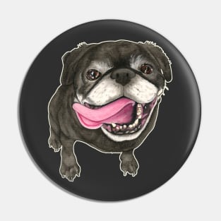 Dog Black Pug Pin