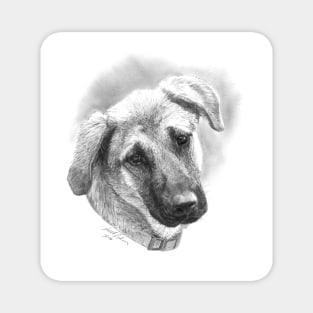 Puppy - Mixed Breed - Dog Illustration Magnet