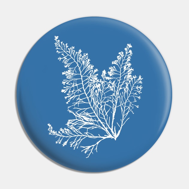 Anna Atkins Seaweed Pin by softbluehum
