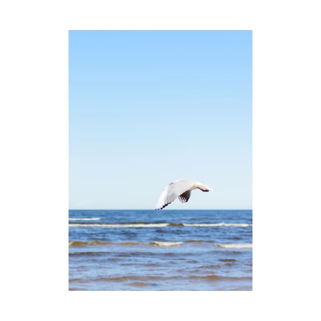 White seagull flying in blue sky by lena-maximova