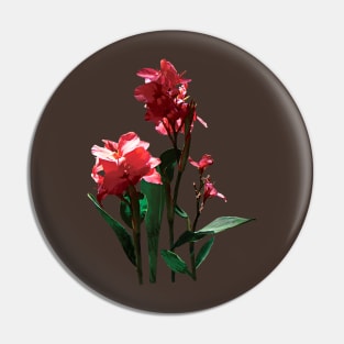 Cannas - Red Canna Pin