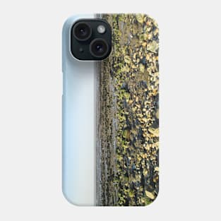 Low Tide Clay Beach Phone Case